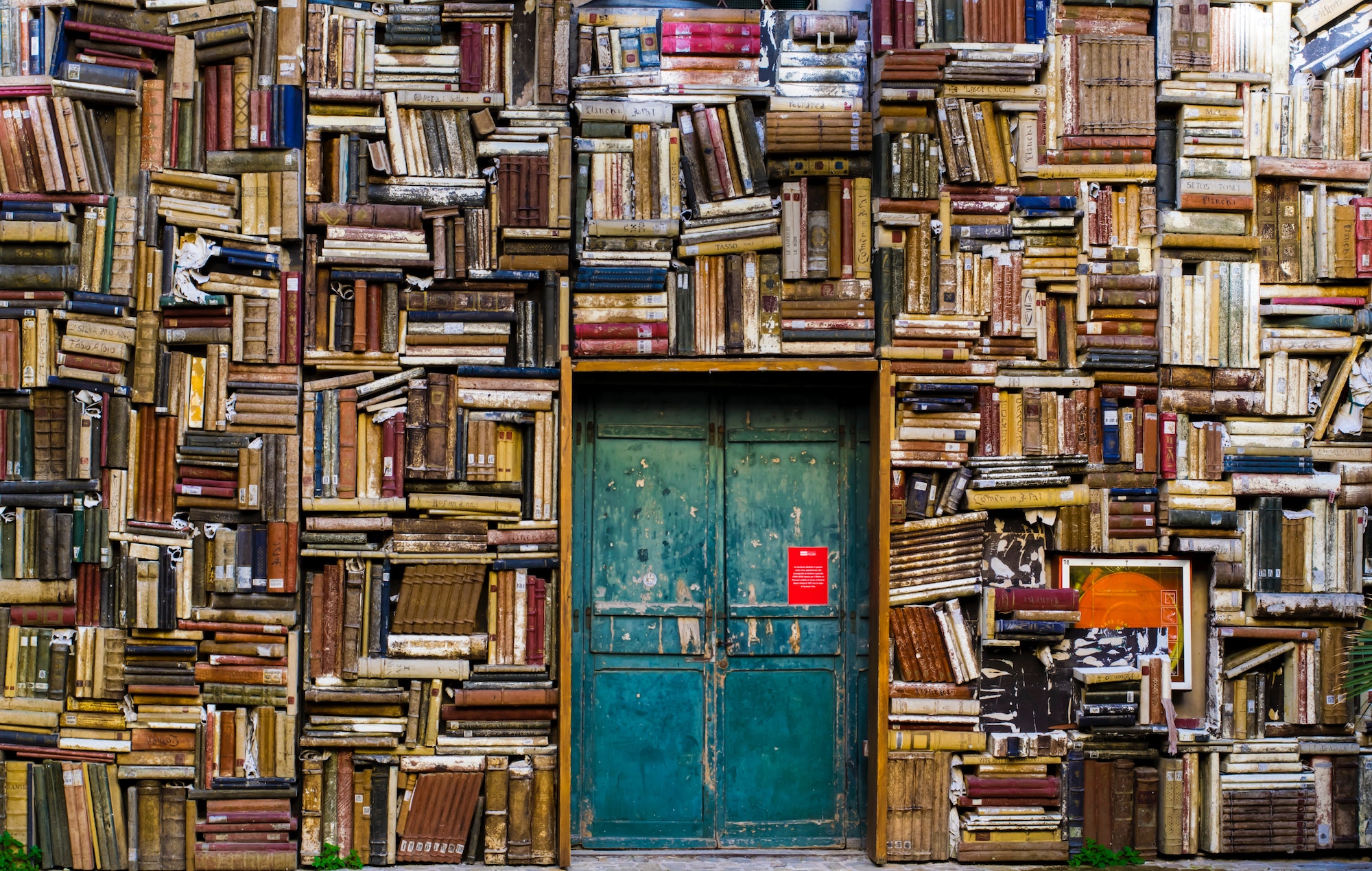 24 books blog